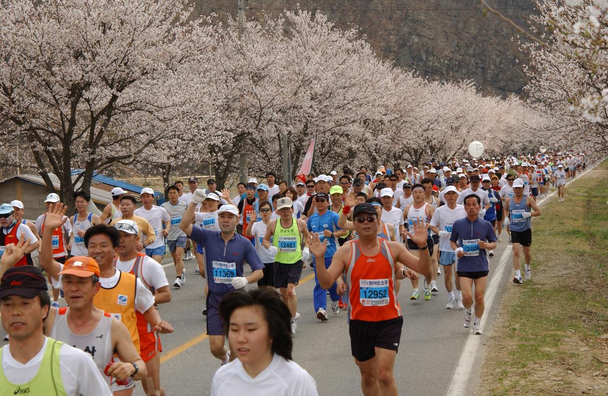 2004년 제3회 합천 벚꽃 마라톤대회(1-3)30