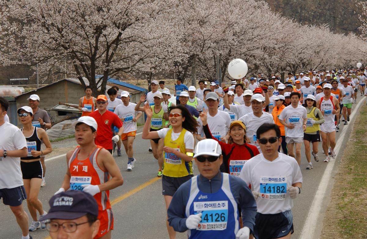 2004년 제3회 합천 벚꽃 마라톤대회(1-4)2