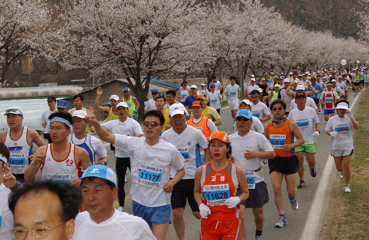 2004년 제3회 합천 벚꽃 마라톤대회(1-4)3