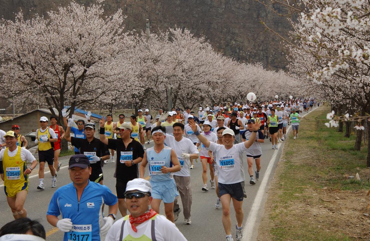 2004년 제3회 합천 벚꽃 마라톤대회(1-4)5