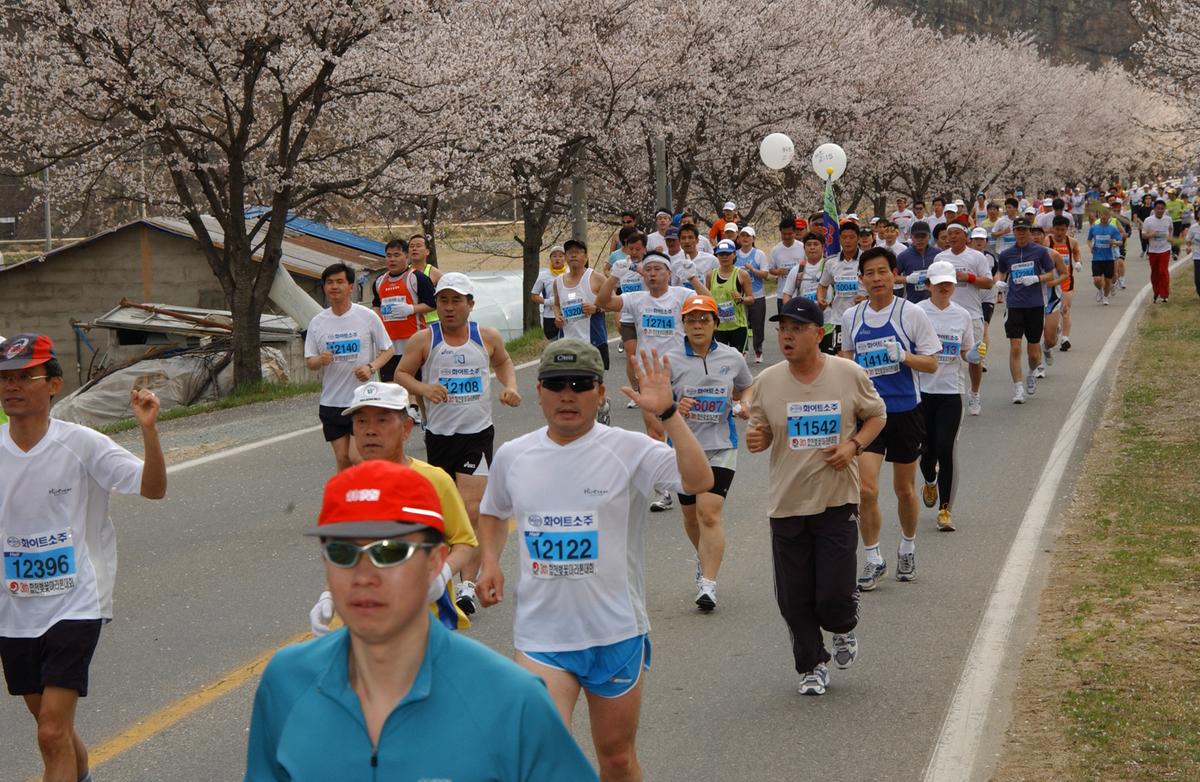 2004년 제3회 합천 벚꽃 마라톤대회(1-4)6