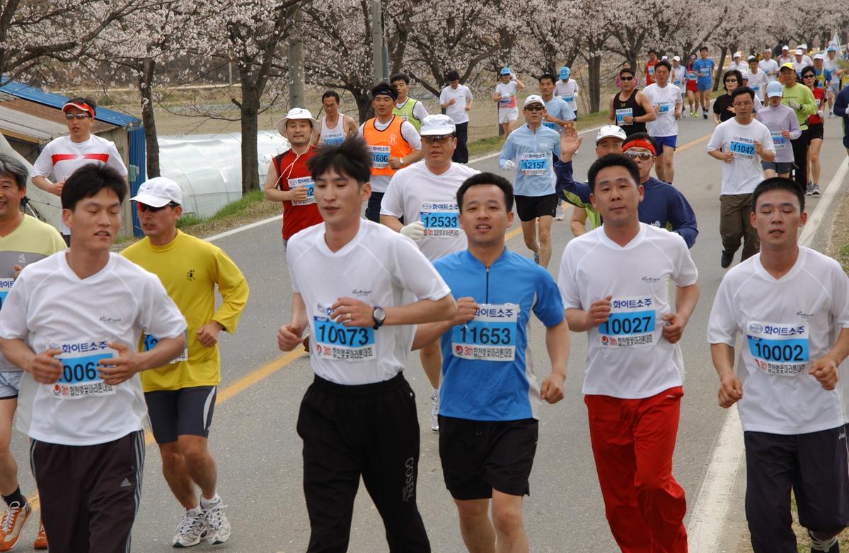 2004년 제3회 합천 벚꽃 마라톤대회(1-4)9