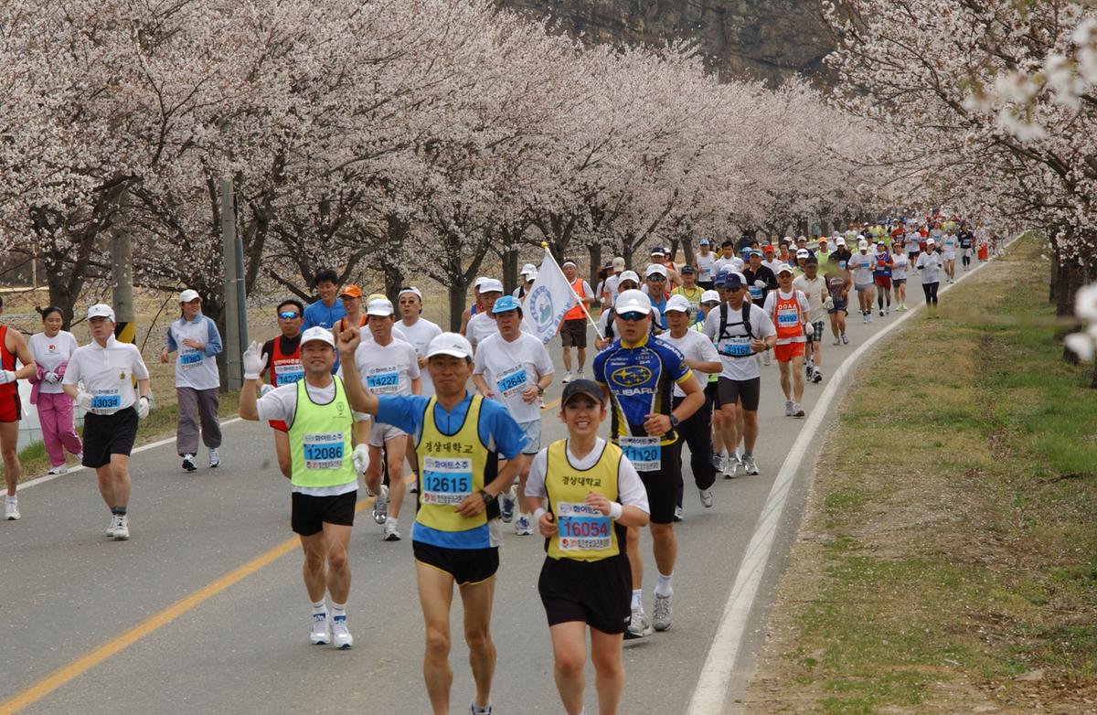2004년 제3회 합천 벚꽃 마라톤대회(1-4)11