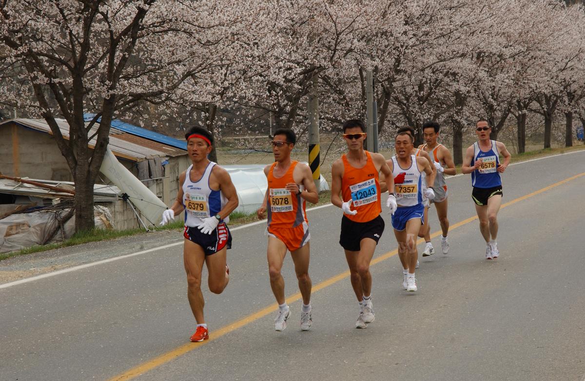 2004년 제3회 합천 벚꽃 마라톤대회(1-4)14