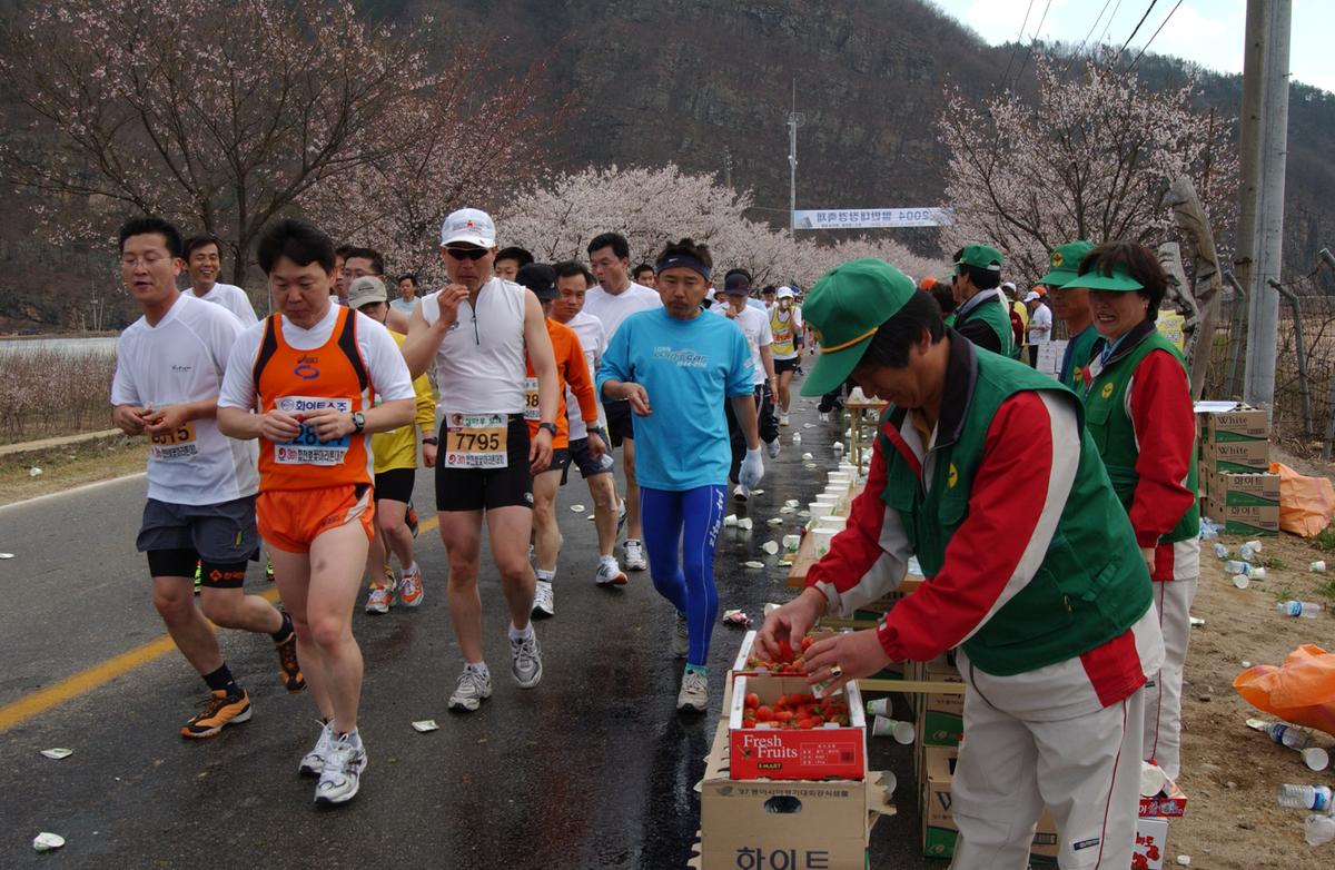 2004년 제3회 합천 벚꽃 마라톤대회(1-4)16