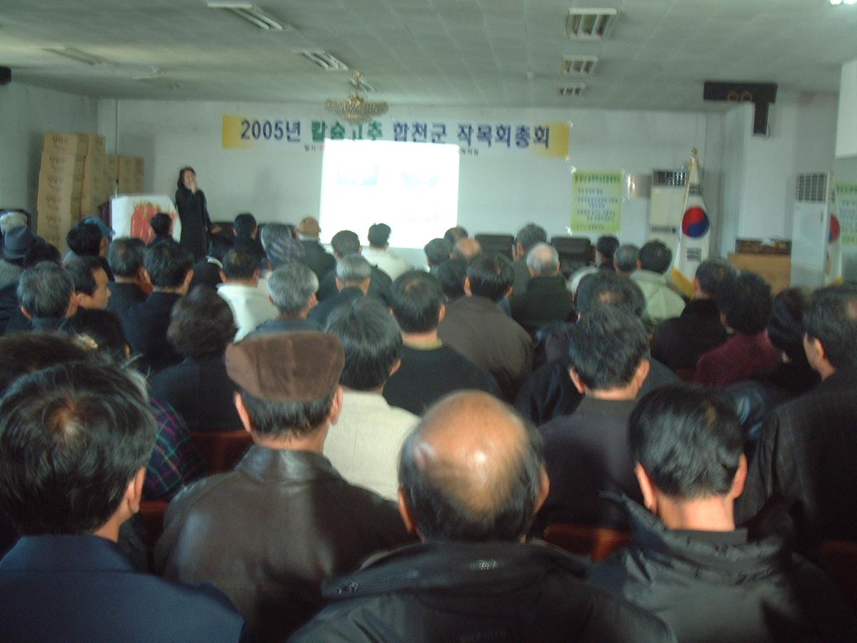 2005년 칼슘고추 합천군 작목회총회