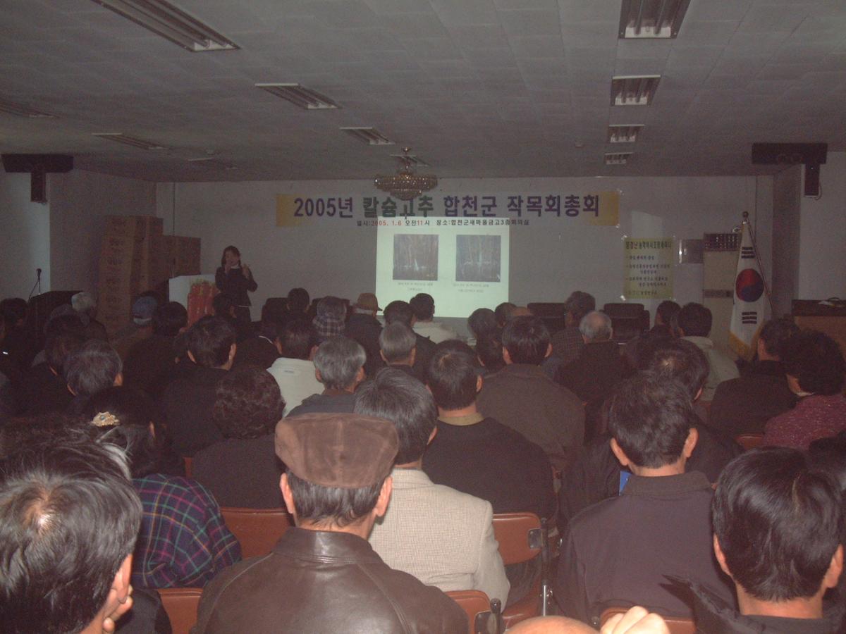 2005년 칼슘고추 합천군 작목회총회