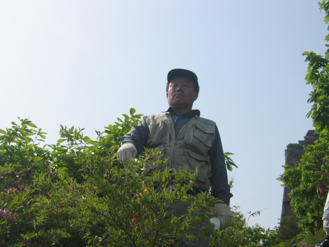 봉사