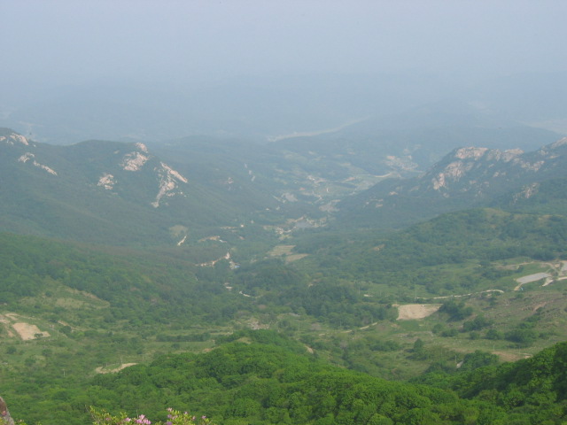 봉사