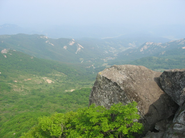 봉사