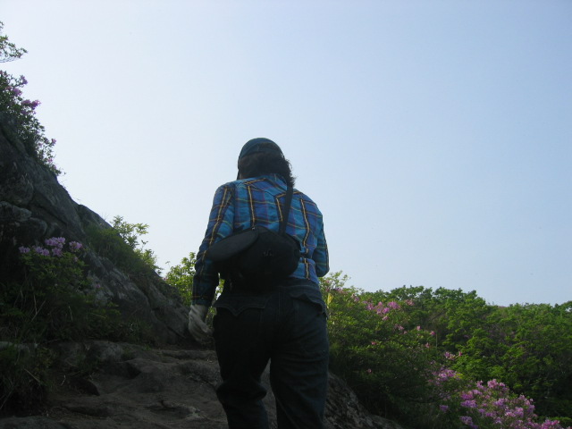 봉사