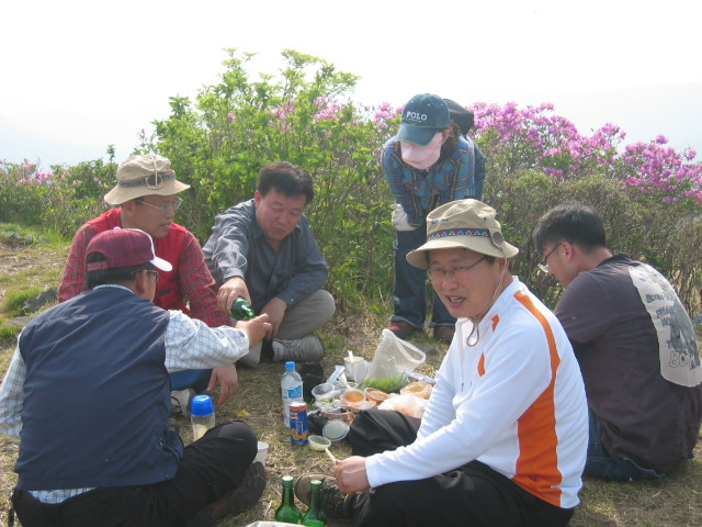 봉사