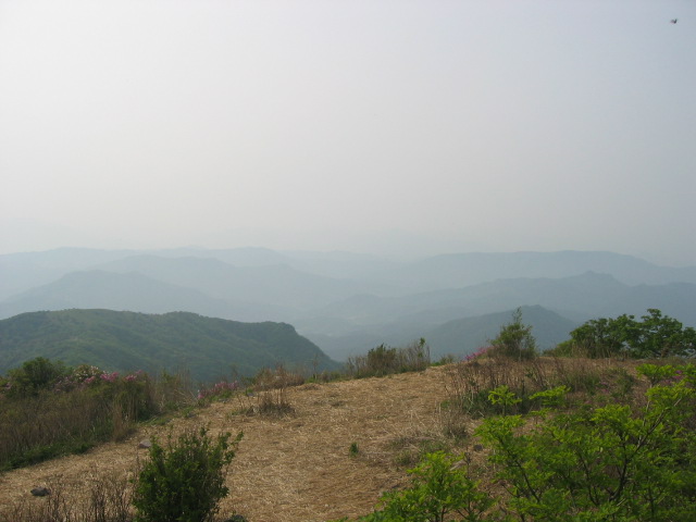 봉사