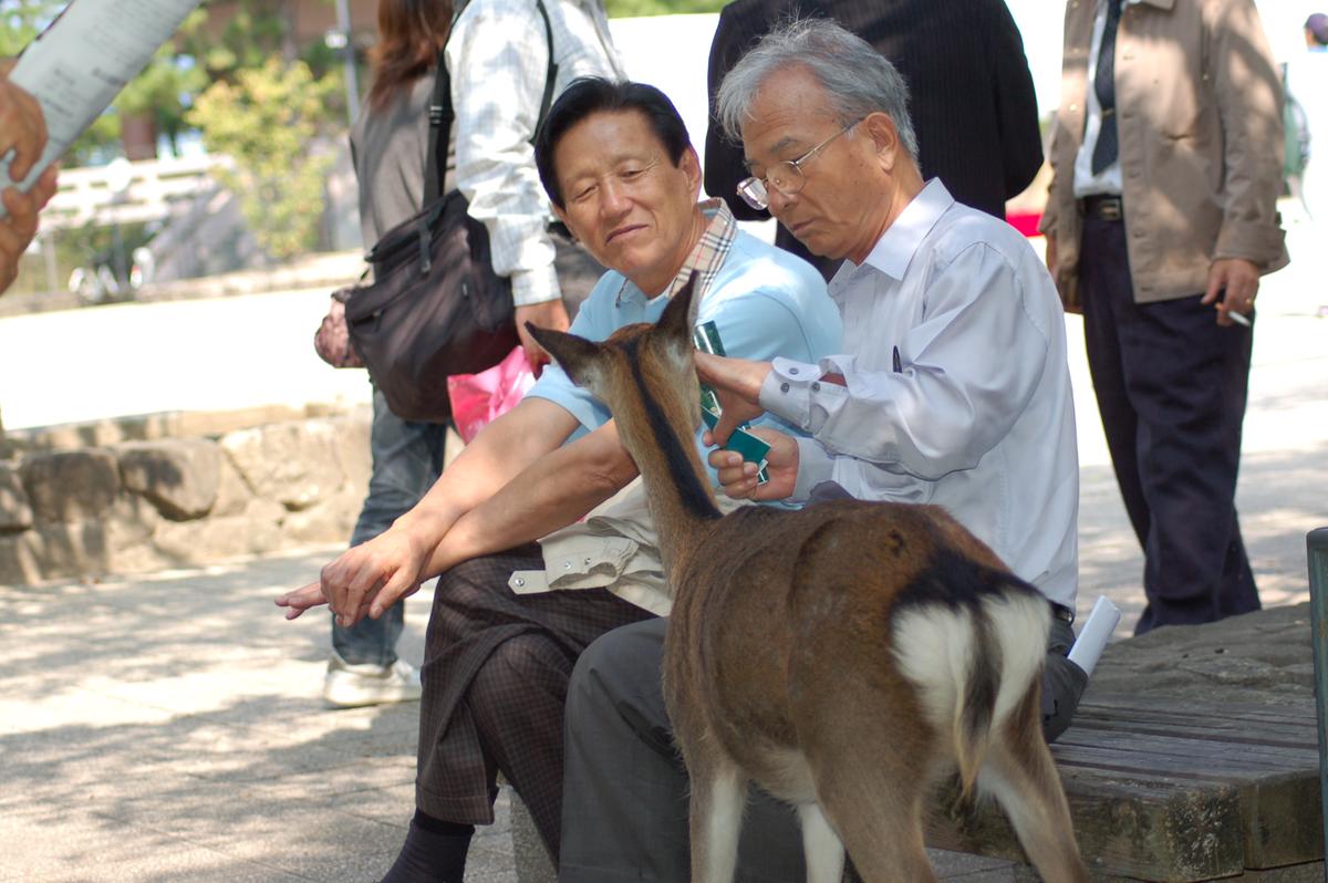 2006일본사학히로시마-6