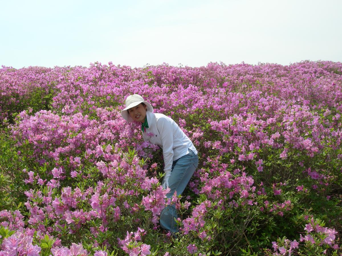 2006철쭉