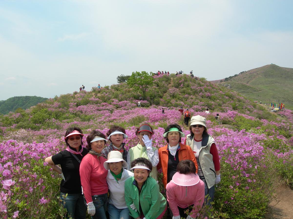 2006철쭉