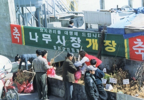 나무시장개장
