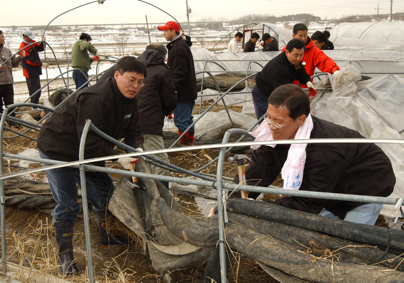 합천군경북예천폭설피해복구4