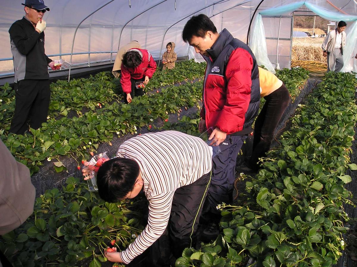 합천 농촌체험관광