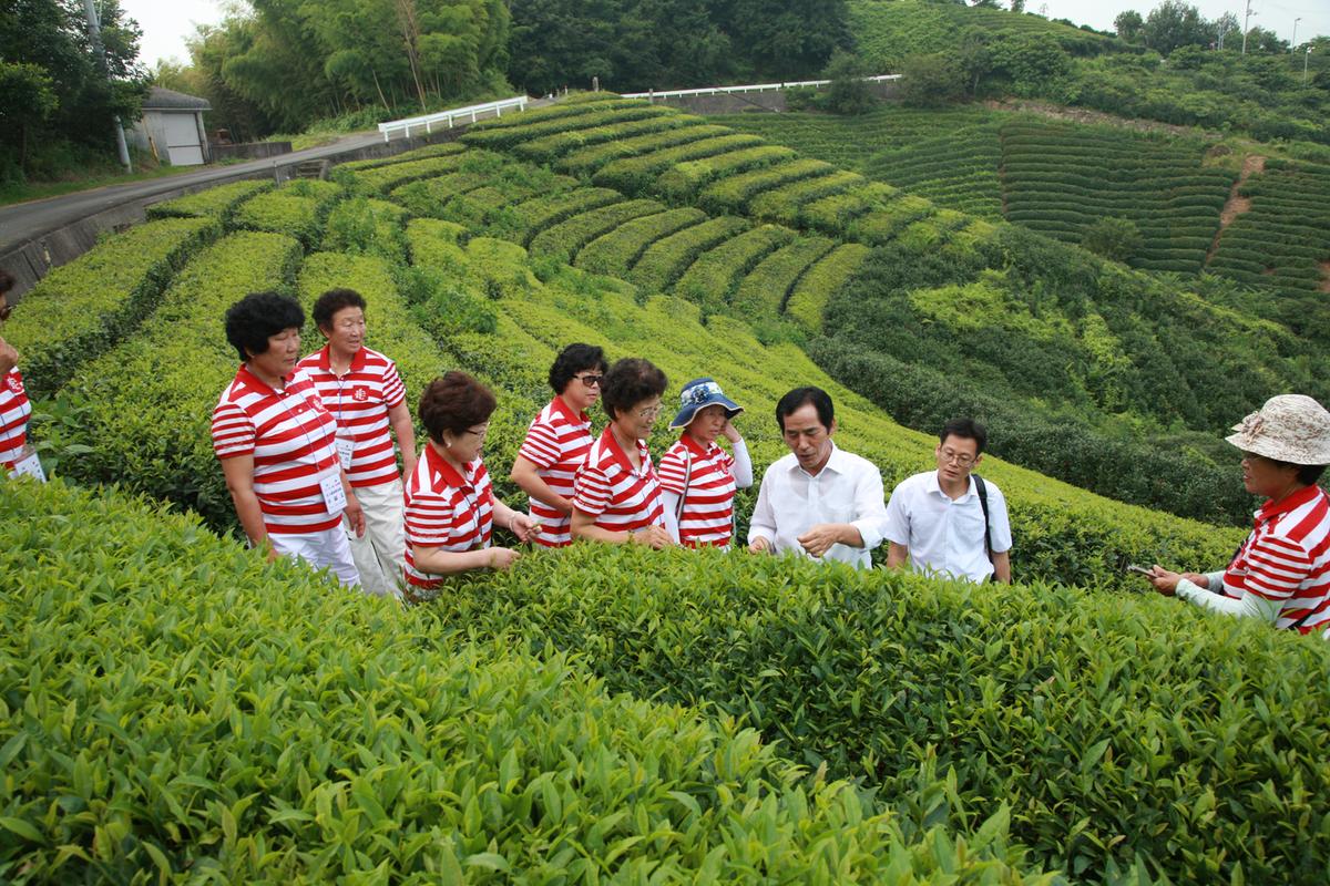 2012 일본자매결연