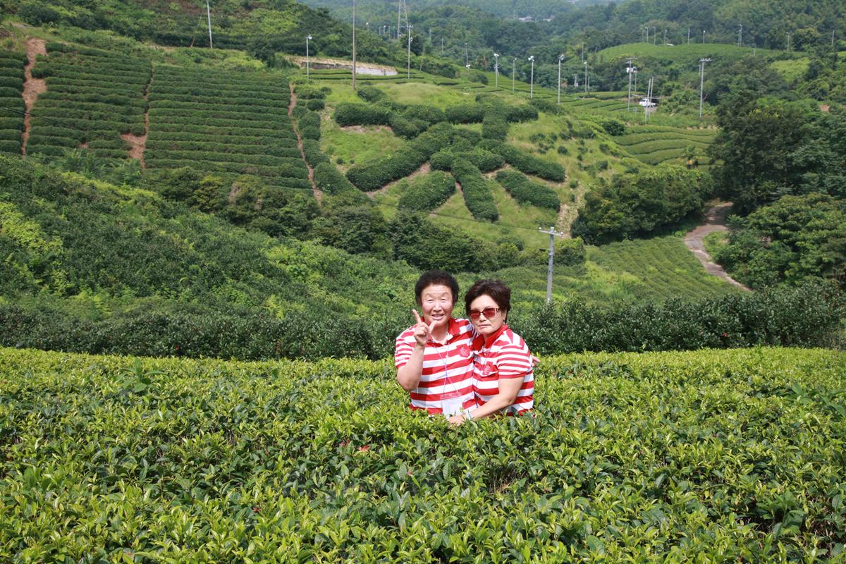 2012 일본자매결연