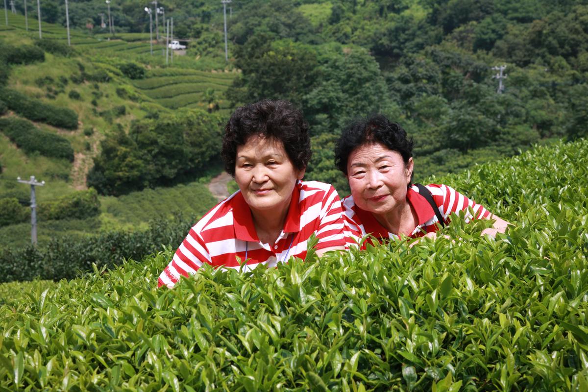 2012 일본자매결연