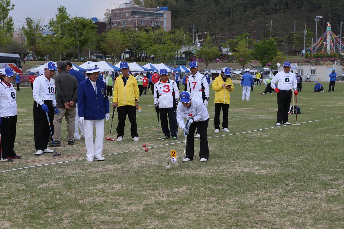 제13회 읍민체육대회