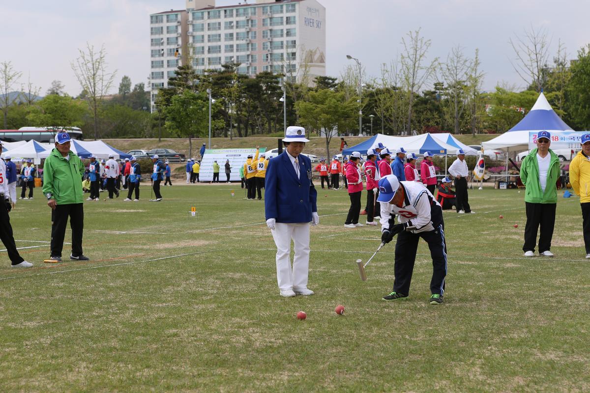 제13회 읍민체육대회