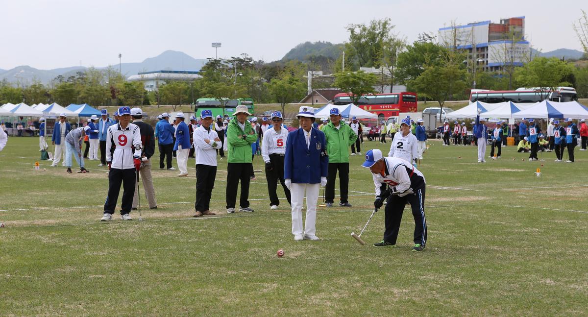 제13회 읍민체육대회