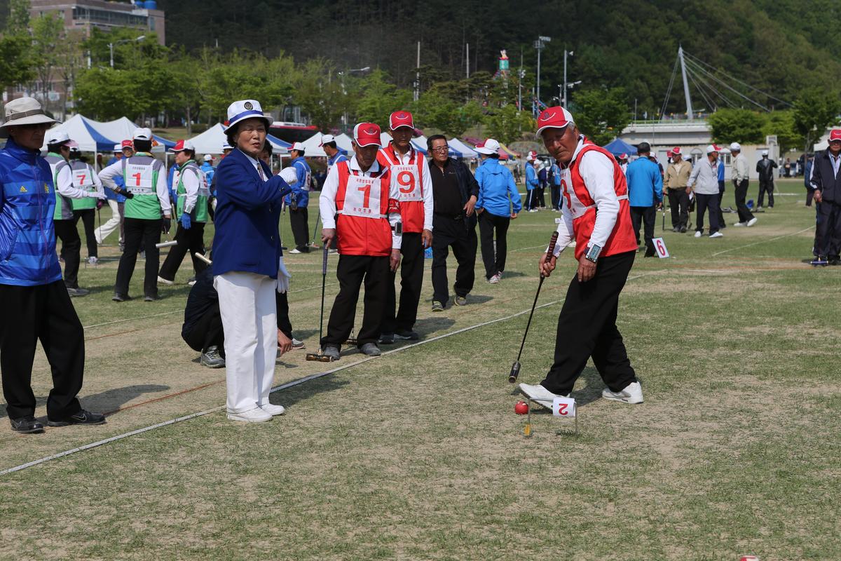 제13회 읍민체육대회