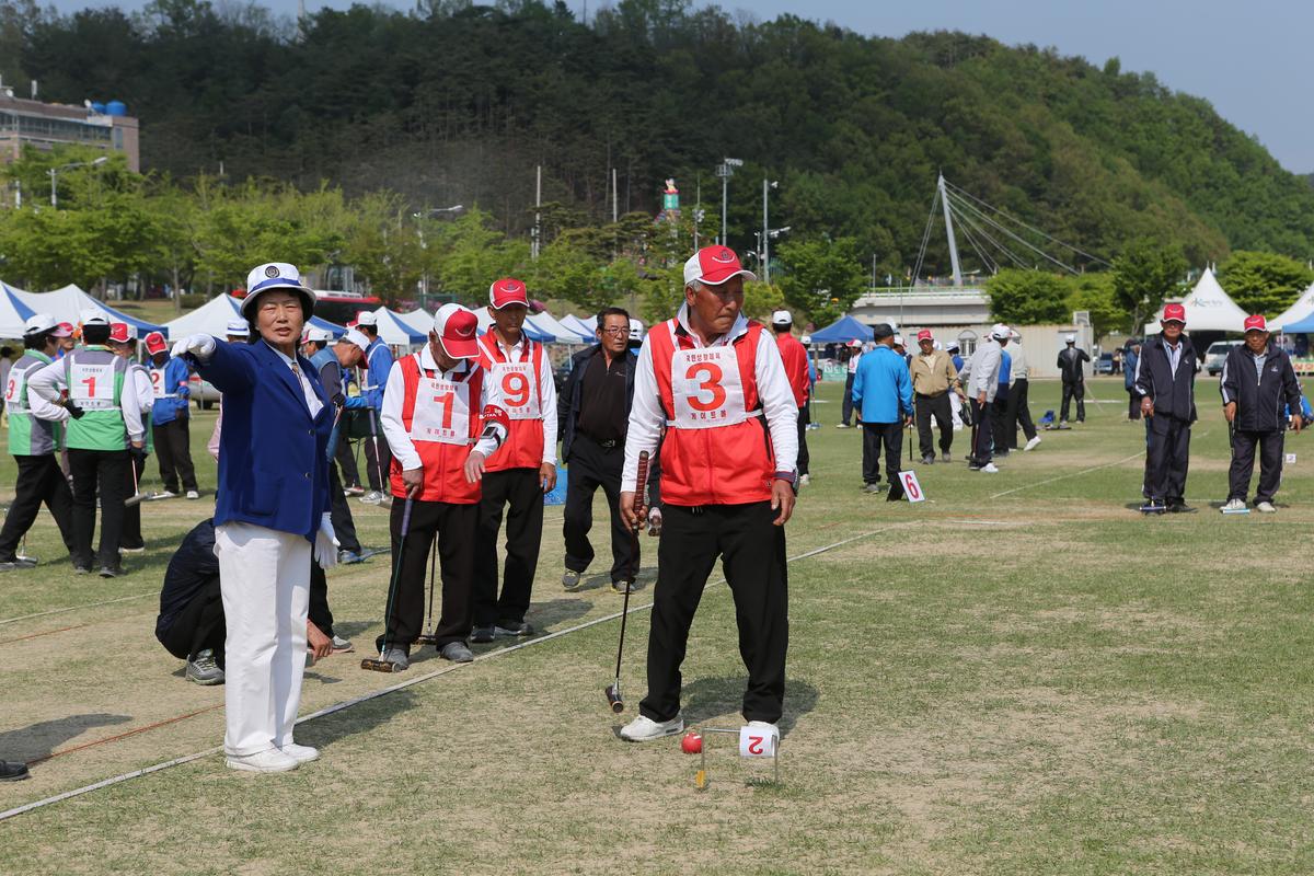 제13회 읍민체육대회