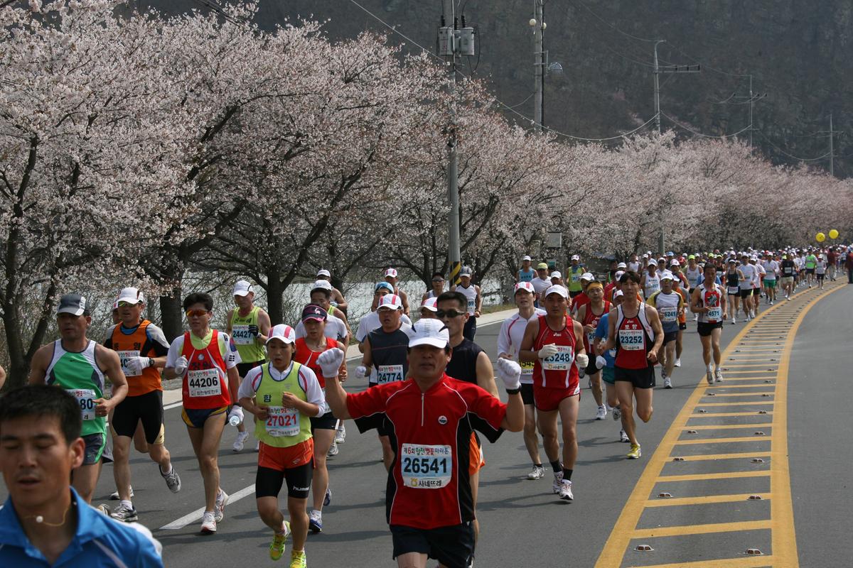 2007년 일본군미토요시 마라톤대회참관