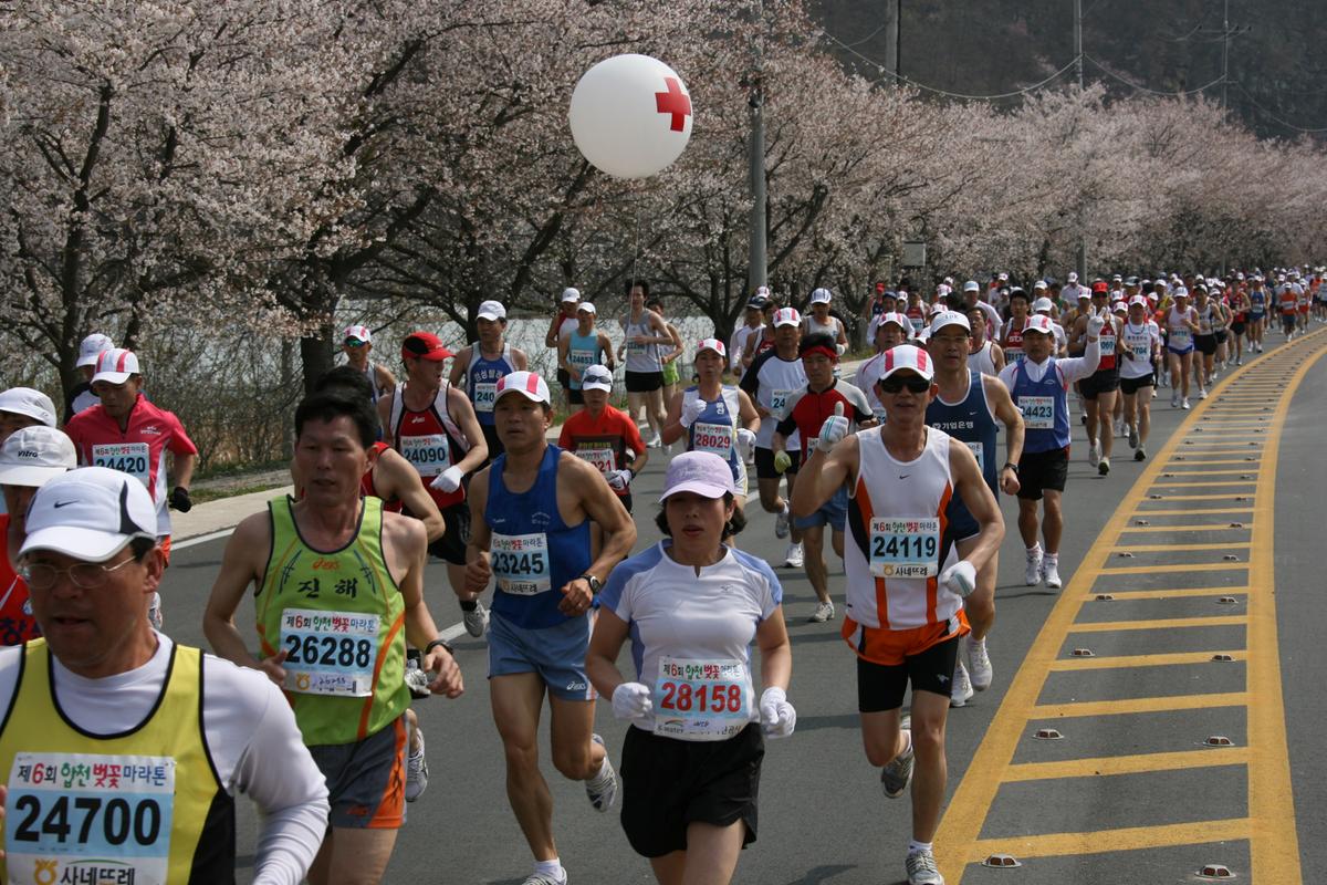 2007년 일본군미토요시 마라톤대회참관2