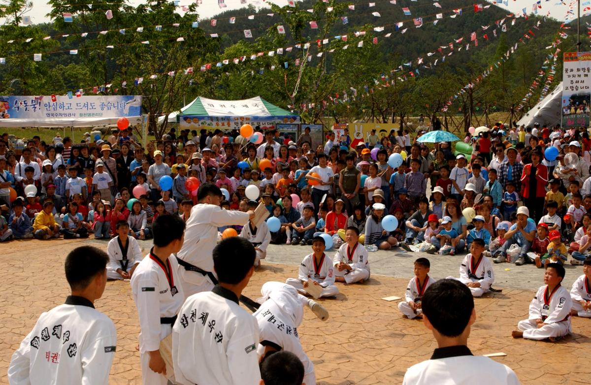 제4회 어린이대잔치 태관도시범