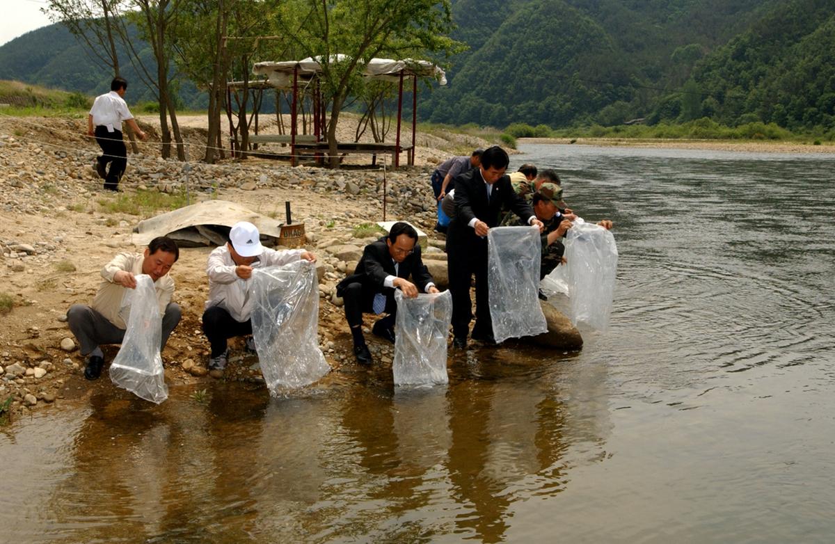 합천치어방류은어용주