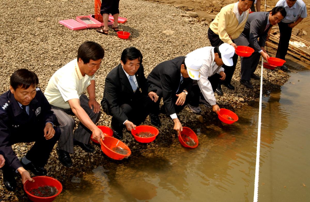 합천치어방류꽃게대병