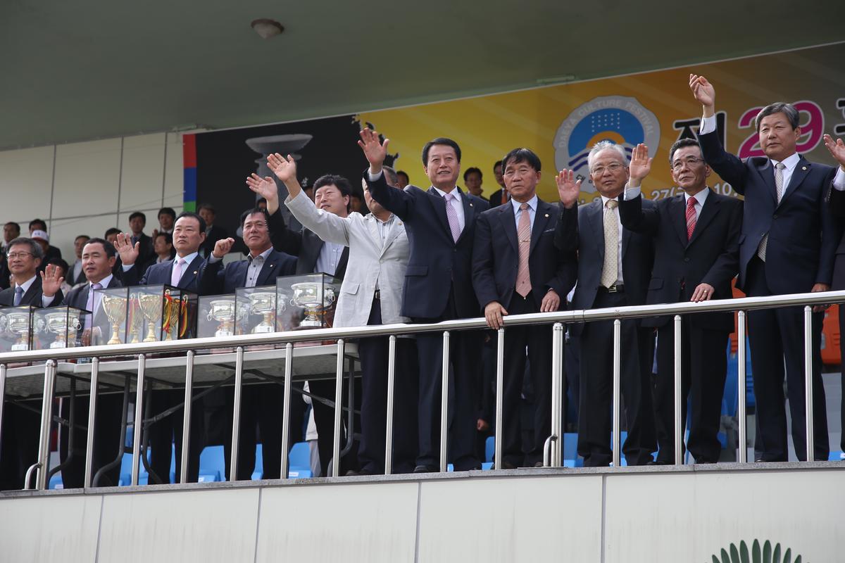 제24회 군민의날, 제32회 군민체육대회, 제29회 대야문화제