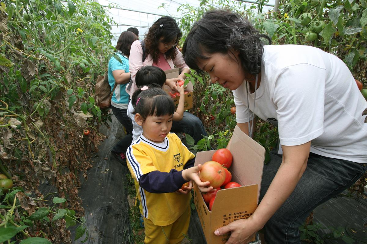 2007어린이 농촌체험활동