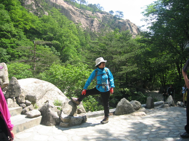 2007 관광