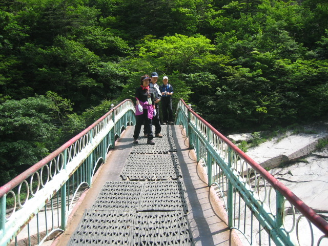 2007 관광
