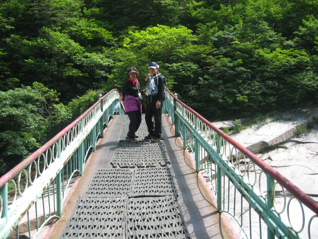 2007 관광
