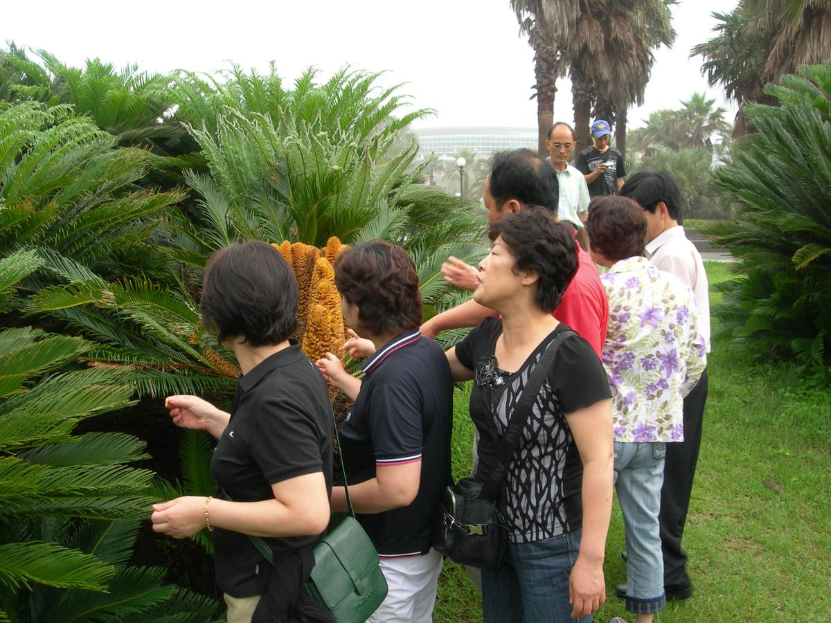 2007년 제주도