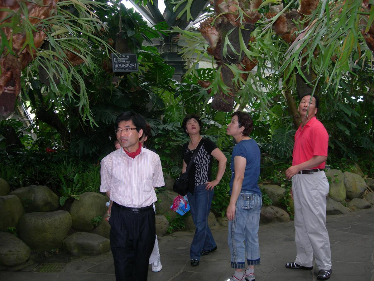 2007년 제주도