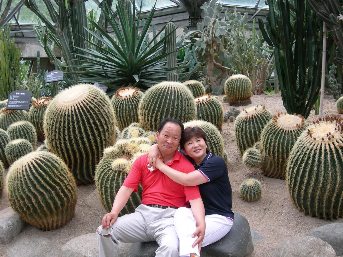 2007년 제주도-2