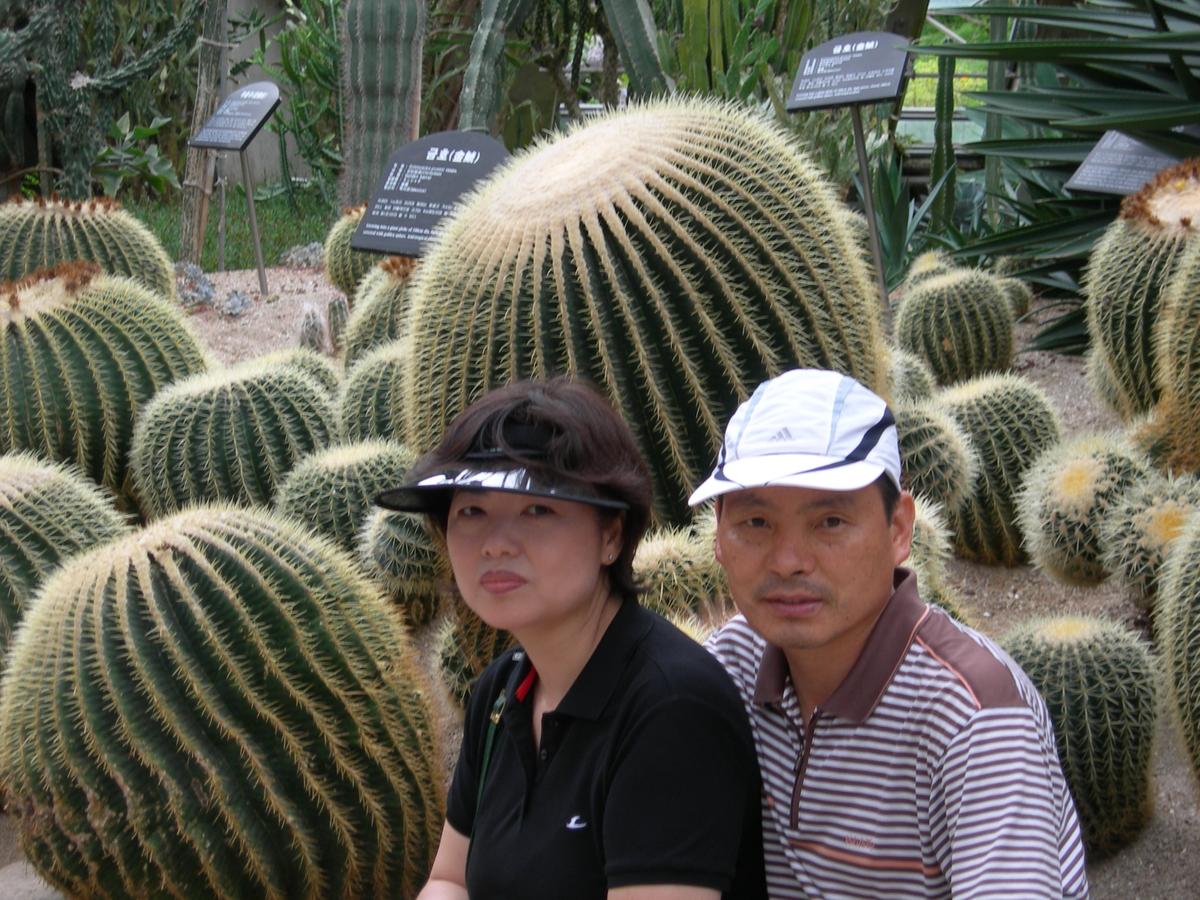 2007년 제주도-2