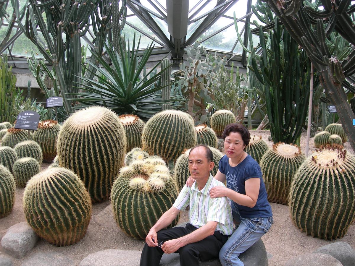 2007년 제주도-2