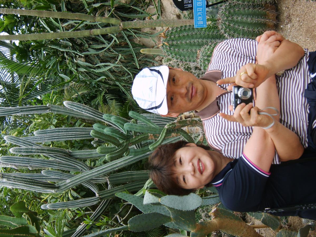 2007년 제주도-3