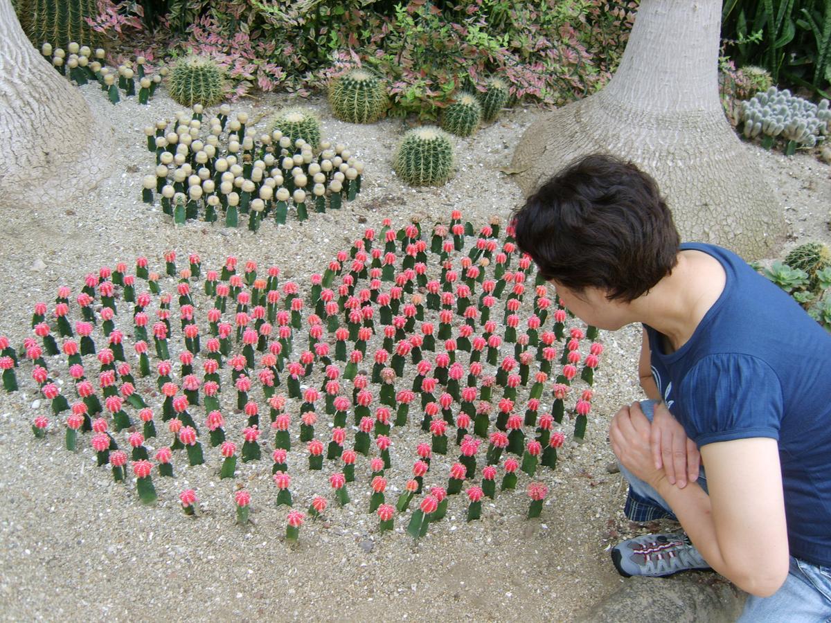2007년 제주도-3