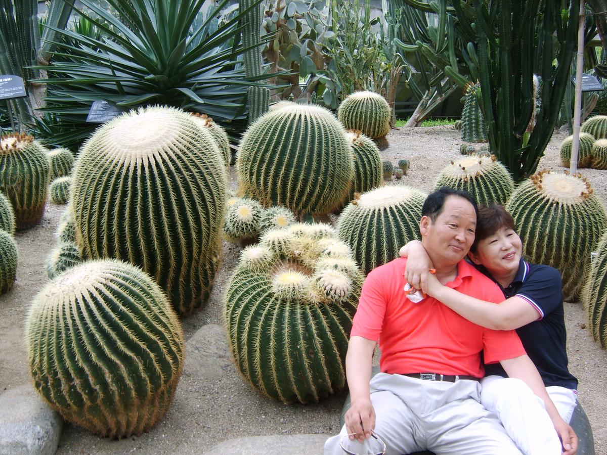 2007년 제주도-3