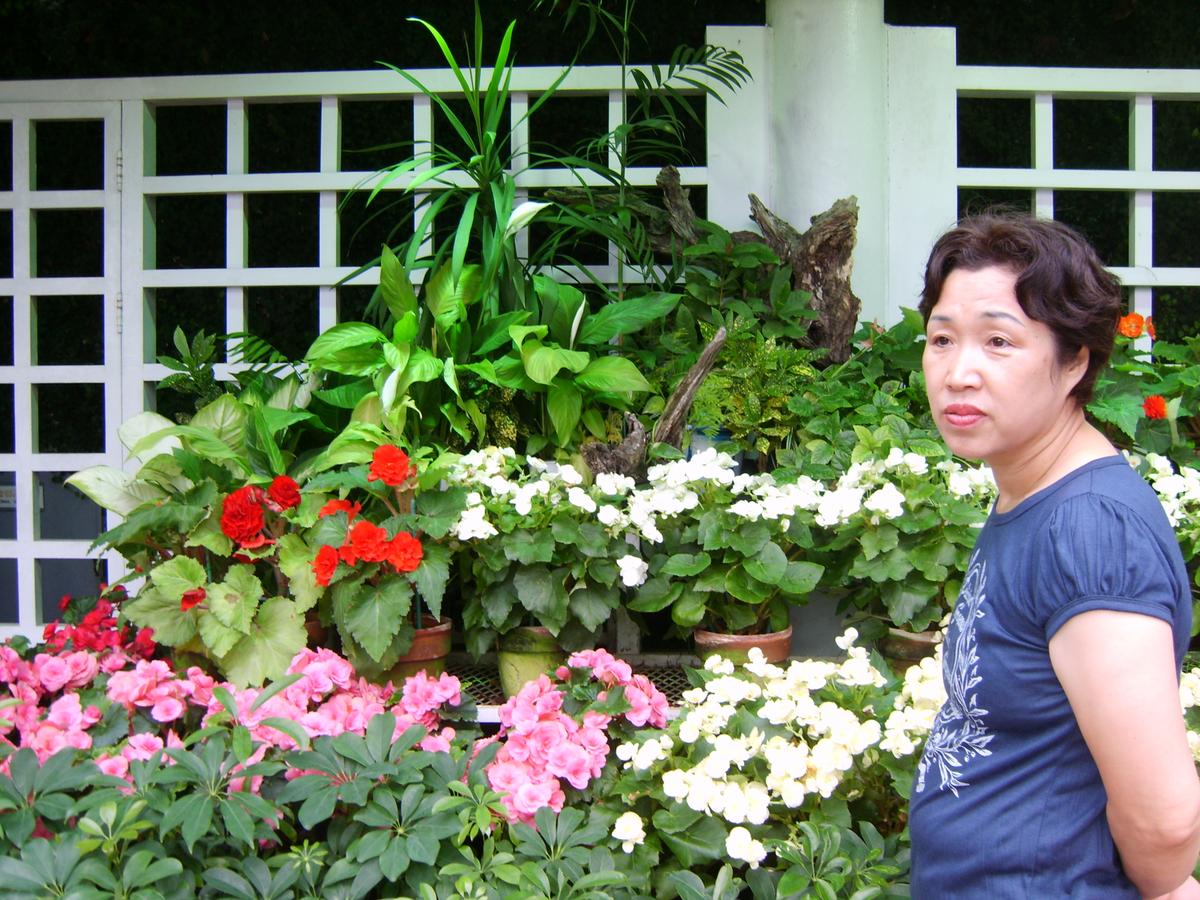 2007년 제주도4